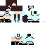 Texture for cat