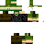 Texture for the luis