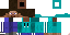 Texture for Steve-Gopnik