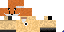 Texture for TheDerpyFox15