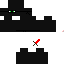 Texture for Ninja