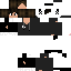 Texture for evgenbro