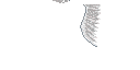 Texture for White feathered wings/ Angelwings (Entity, 128x64)