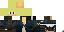 Texture for hunger games op