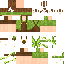 Texture for summer caesar