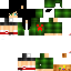 Texture for groot49999