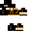 Texture for Copysta