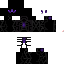Texture for DS13