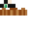 Texture for Army soldier