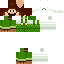 Texture for Super Luigi Fire