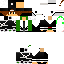 Texture for DS