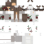 Texture for linxsingr 2222
