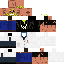 Texture for Doctor WC