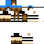 Texture for _tdk<3