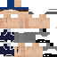 Texture for Baswachter