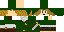 Texture for Link