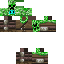 Texture for comp.