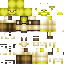 Texture for shrek