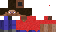 Texture for Steve