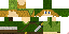 Texture for Toon Link