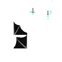 Texture for gaster blaster