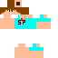Texture for steve