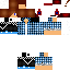 Texture for maxor