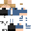 Texture for Steve R