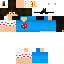 Texture for NIKKIGAMER RS