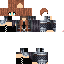 Texture for Sage Improved Guard