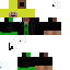 Texture for Tobin Paradox