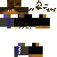 Texture for fs