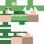 Texture for Witch