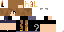 Texture for nyan