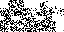 Texture for Flash-code