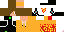 Texture for TOMTOM_4