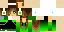Texture for ccccc
