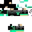 Texture for Nicolas Sullp