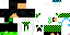 Texture for Nucleon