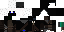 Texture for Assassin 4