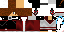 Texture for Steve