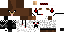 Texture for Swag