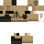 Texture for 1337