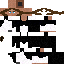 Texture for Dominican Friar