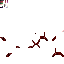 Texture for kagune