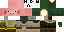 Texture for piggyma7