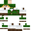 Texture for Link (Ocarina of Time)