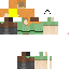 Texture for alex