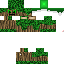Texture for tree cap 2