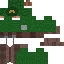 Texture for Adk